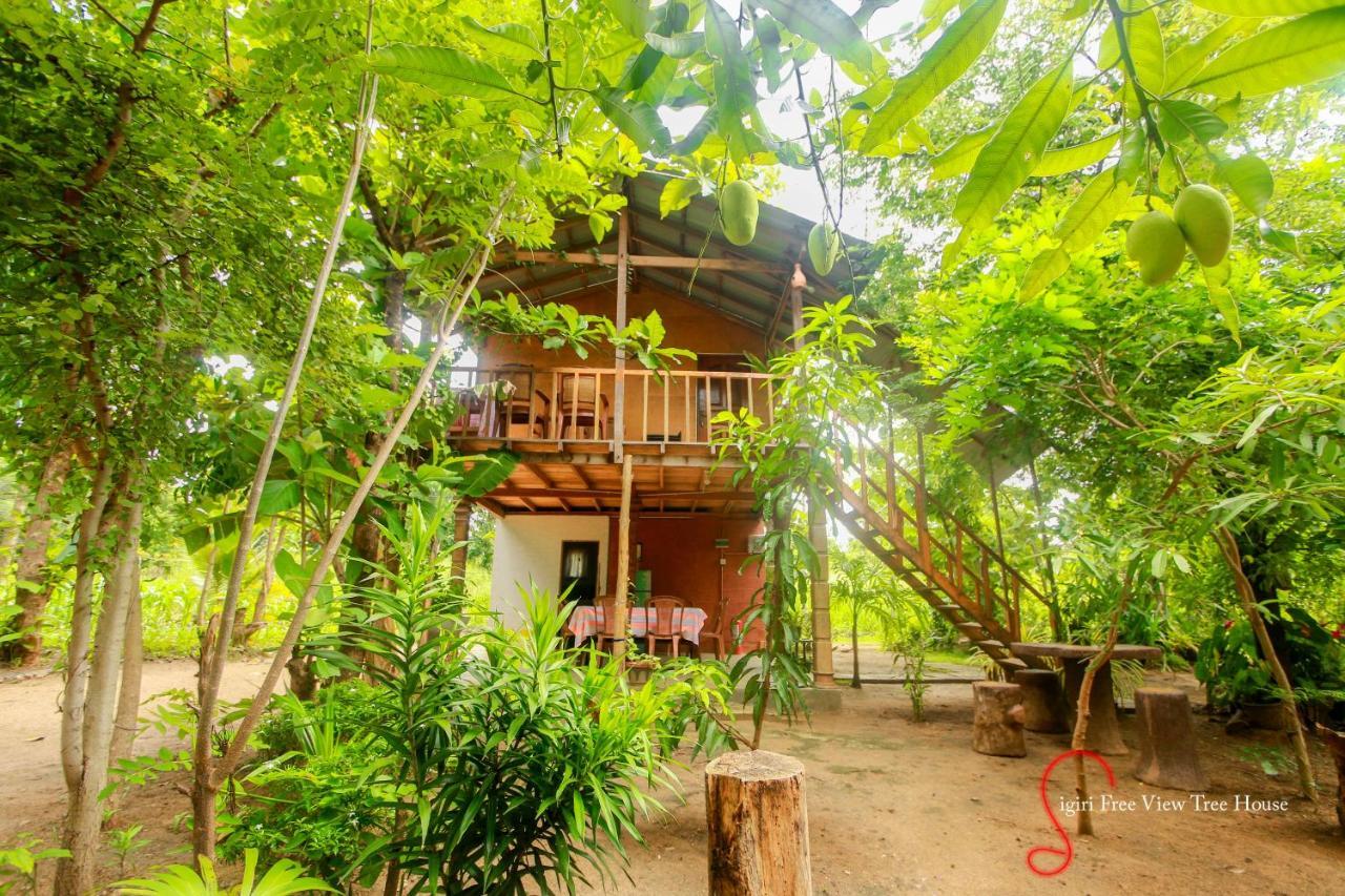 Sigiriya Free View Tree House & Villa Экстерьер фото
