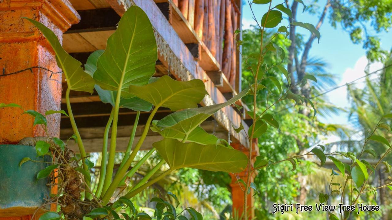 Sigiriya Free View Tree House & Villa Экстерьер фото