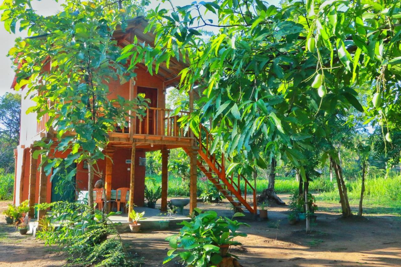 Sigiriya Free View Tree House & Villa Экстерьер фото
