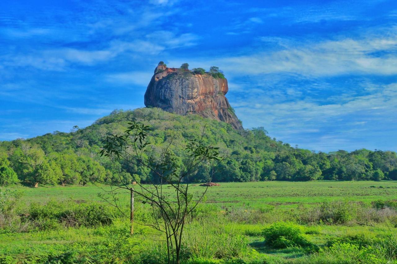 Sigiriya Free View Tree House & Villa Экстерьер фото